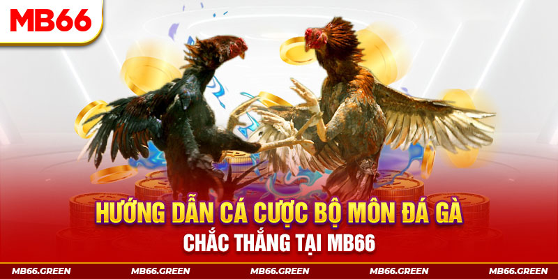 qq888 live CQ9 Điện Tử