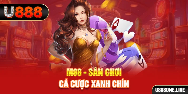 qq888 live gà chọi cậu thanh