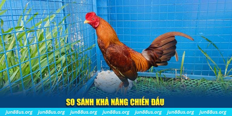 qq888 live xổ số tiền giang