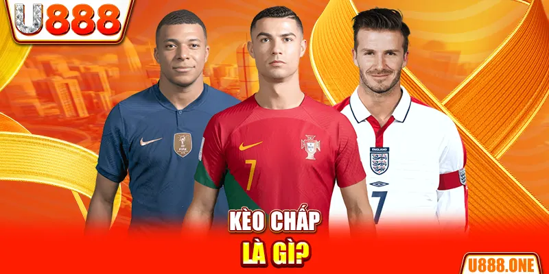 qq888 live chổi lông gà