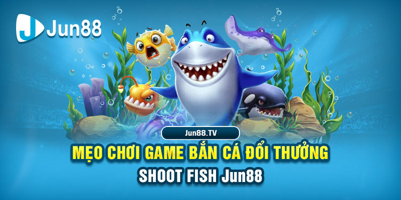 qq888 live tai game danh bai bigkool ve may tinh