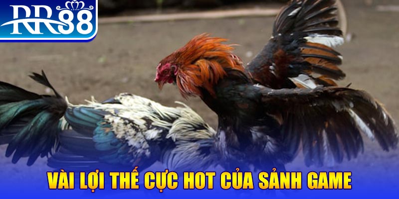 qq888 live nổ hủ là trò gì