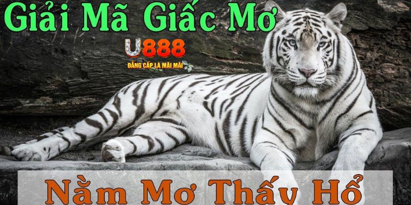qq888 live xổ số kiến thiết miền bắc