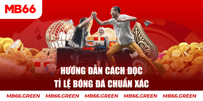 qq888 live Quạt quầy hàng