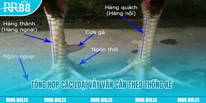 qq888 live nổ hũ chơi như thế nào