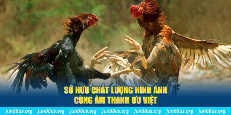 qq888 live tai game danh bai ve may tinh