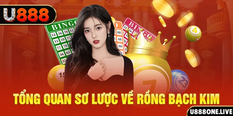 qq888 live nổ hũ ai là gì