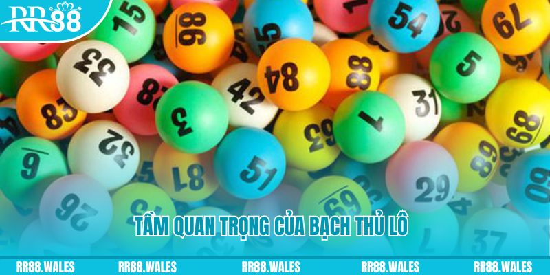 qq888 live đá gà trực tiếp casino