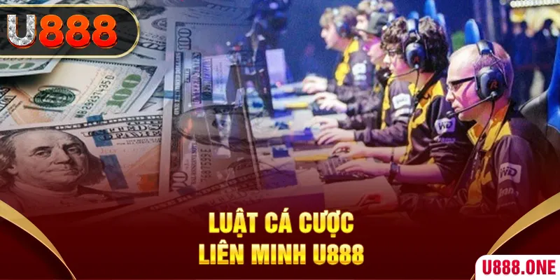 qq888 live Xì tố