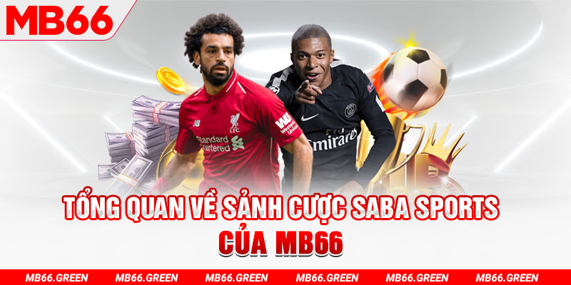 qq888 live slot có nghĩa là gì