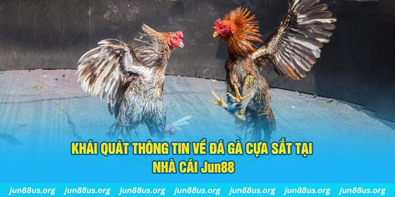 qq888 live game bài trên máy tính