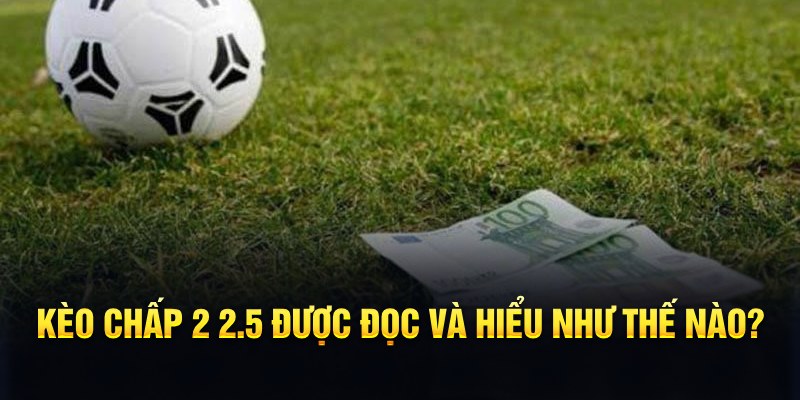 qq888 live đá gà thomo