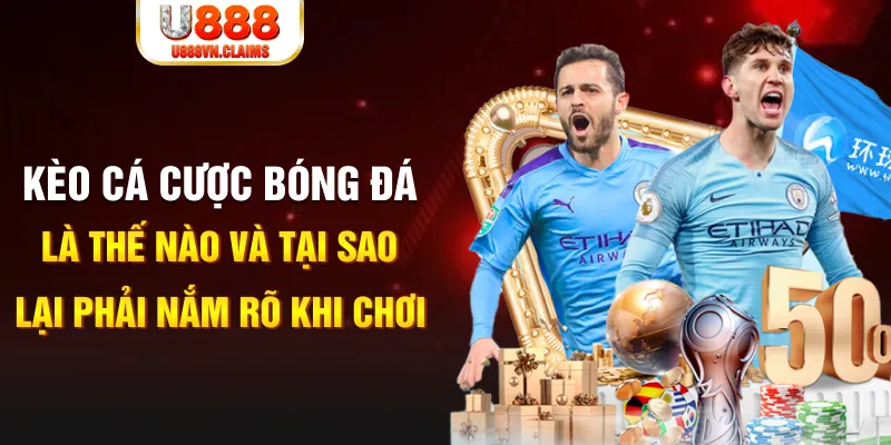 qq888 live slot la gì