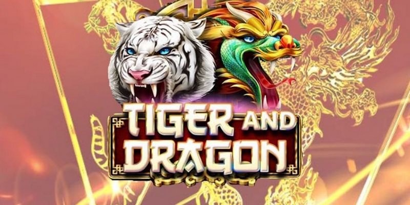 qq888 live 888 slot là gì