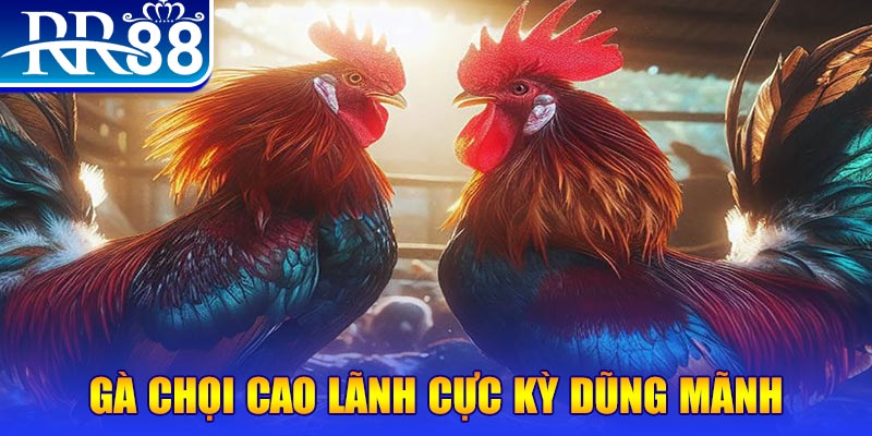 qq888 live natural” trong baccarat nghĩa là gì？