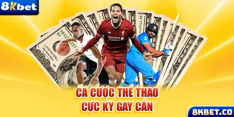 qq888 live Bữa tiệc dành cho thanh thiếu niên
